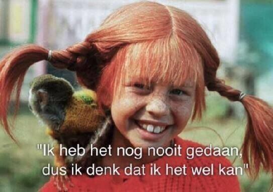 Ik heb het nog nooit gedaan, dus ik denk wel dat ik het kan